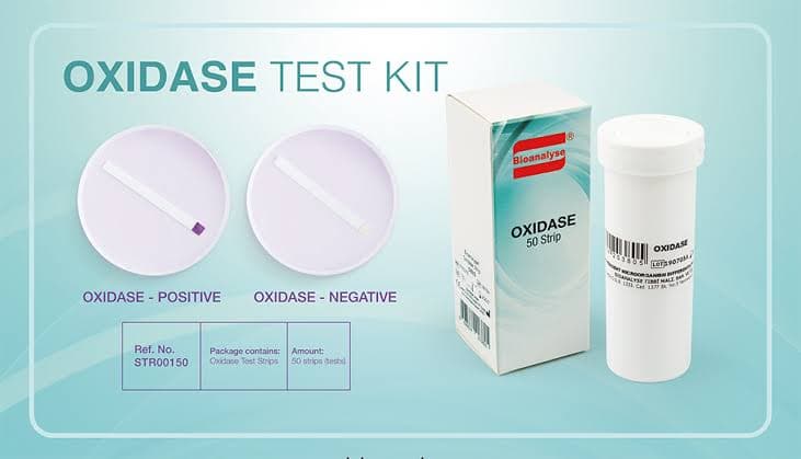 Bioanalyse Oxidase and PYR Test Kits
